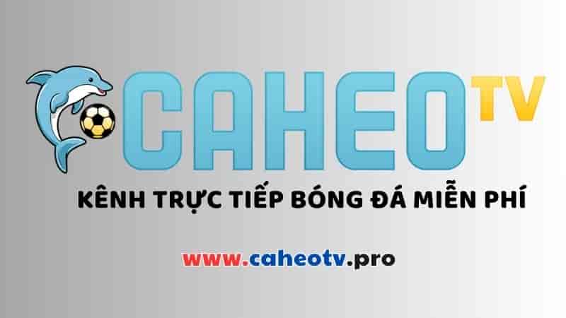 Giới thiệu sơ lược về kênh trực tiếp bóng đá Caheo TV